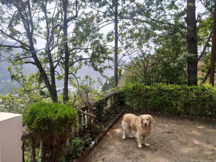 Whistling Thrush Cottage, Bhimtal Нейнитал Екстериор снимка