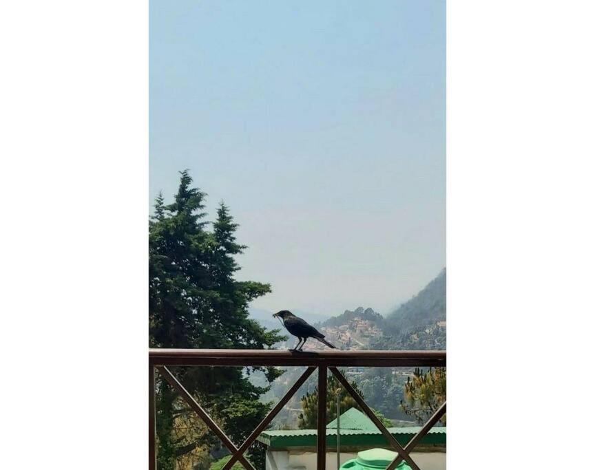 Whistling Thrush Cottage, Bhimtal Нейнитал Екстериор снимка